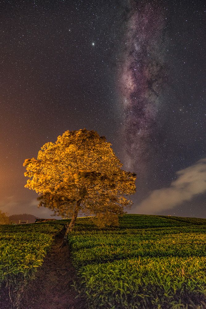 milky way art print by Lety Liza for $57.95 CAD