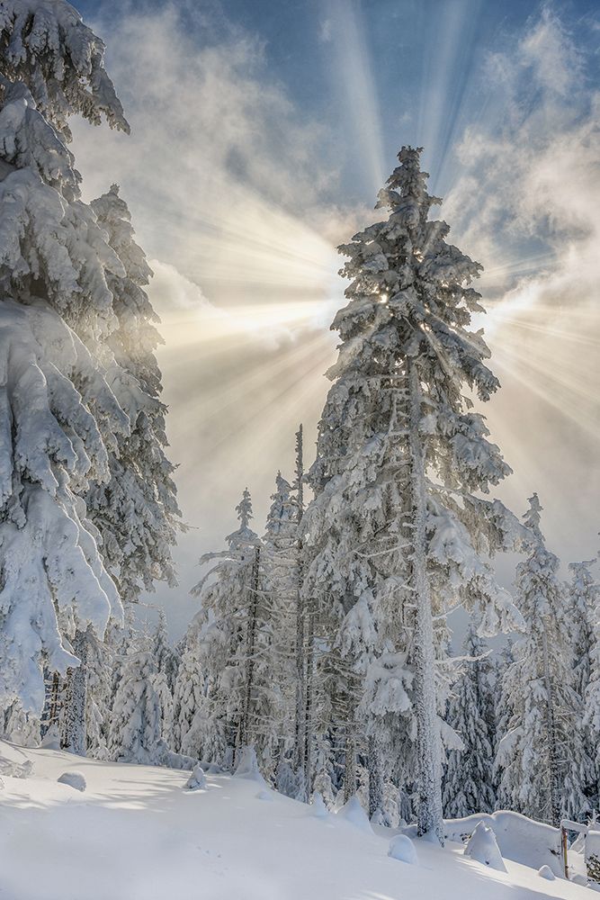 Divine lights art print by Hotea Gabriel for $57.95 CAD