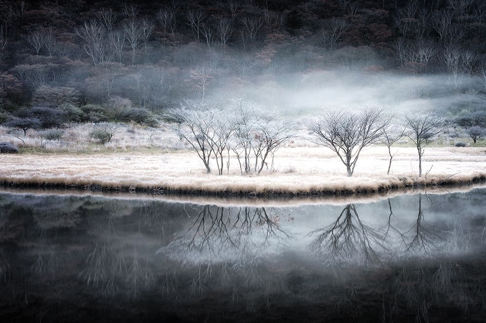 Between autumn and winter art print by Daiki Suzuki for $57.95 CAD
