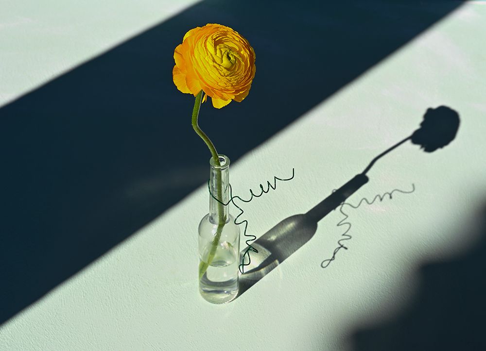 Light A Shadow art print by Donatella Basso for $57.95 CAD