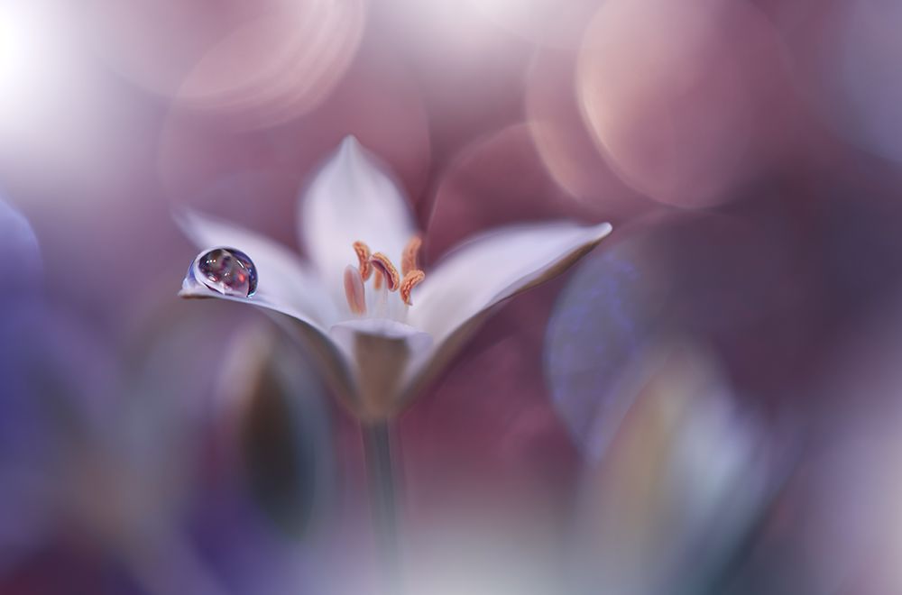 Time Traveller.. art print by Juliana Nan for $57.95 CAD