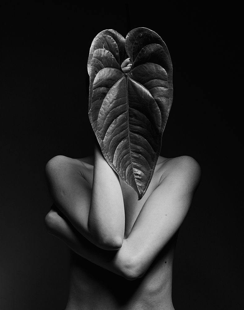 Leaf A Body art print by Shizuo Shiki for $57.95 CAD