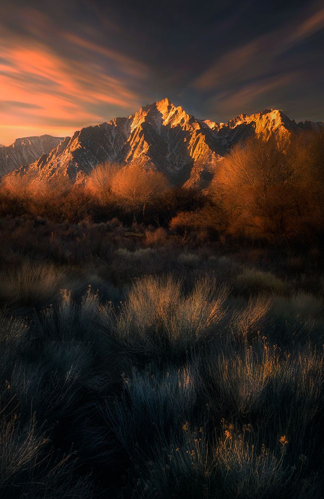 Light Touch art print by Ruiqing P. for $57.95 CAD