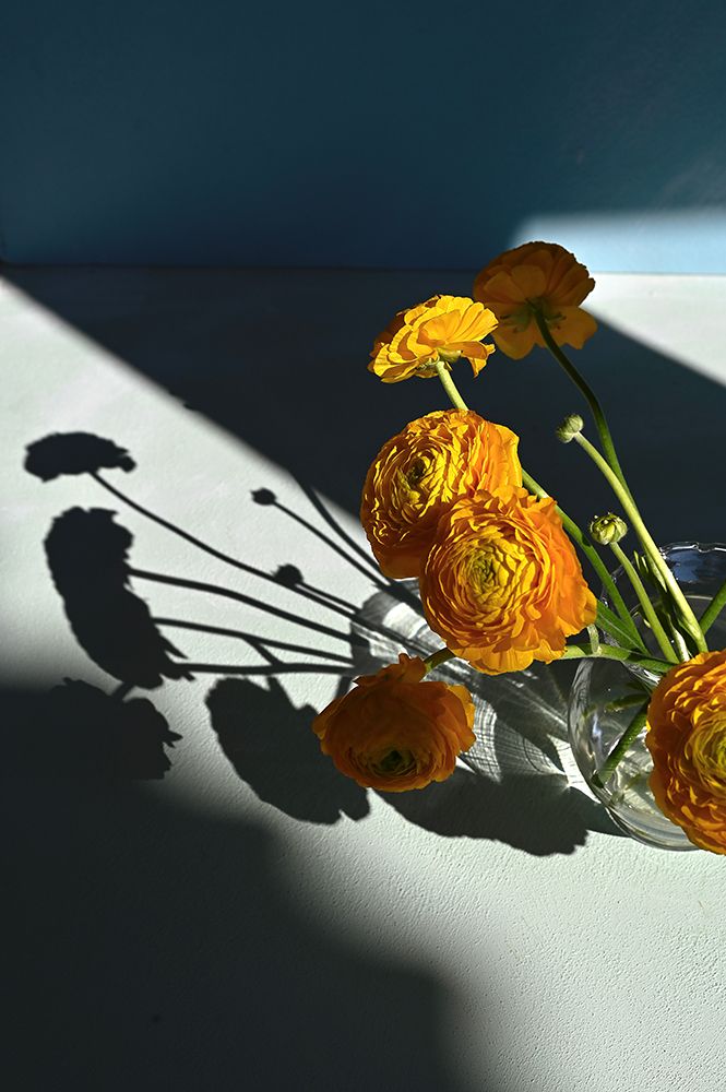 Yellow buttercups art print by Donatella Basso for $57.95 CAD