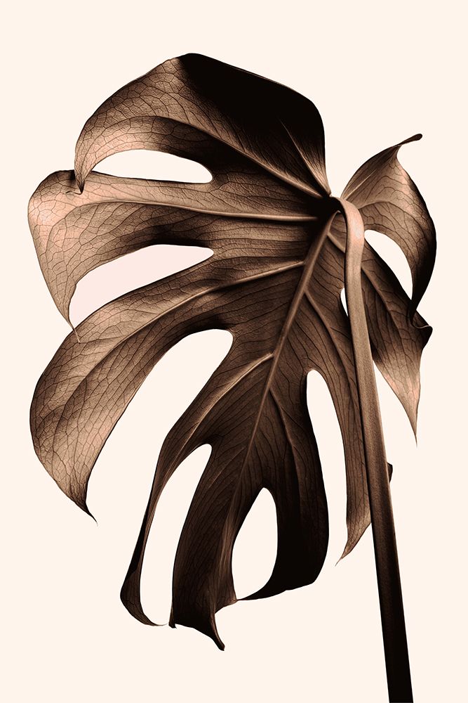 Monstera Gold art print by 1x Studio III for $57.95 CAD