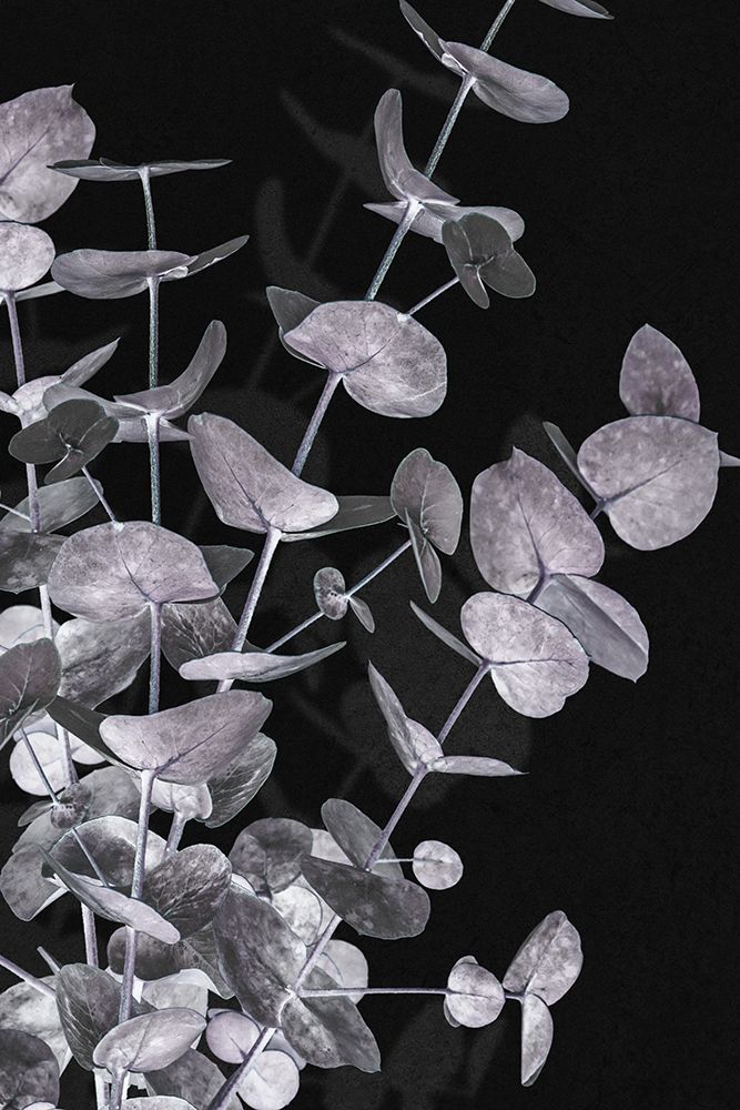 Eucalyptus_Negative_003 art print by 1x Studio III for $57.95 CAD