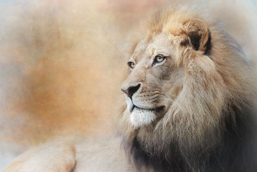 In Deep Thought art print by Linda D Lester for $57.95 CAD