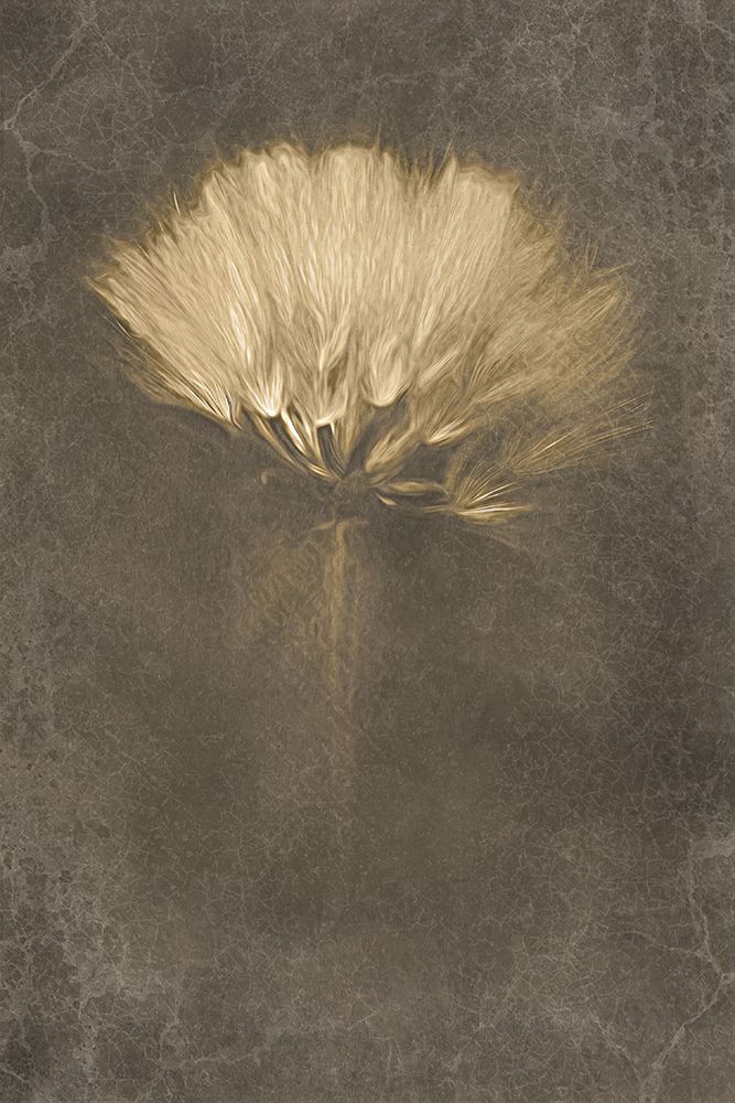 Mysterious Days art print by Cicek Kiral for $57.95 CAD