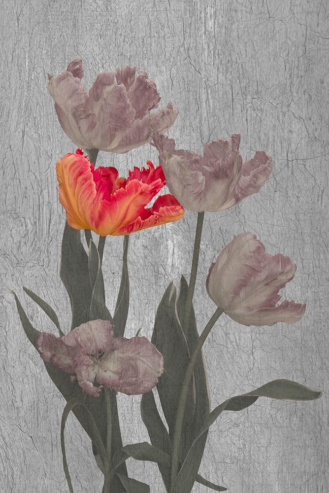 Aflame art print by Richard Urbanski for $57.95 CAD