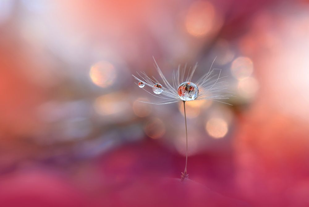 Colors Of Love.. art print by Juliana Nan for $57.95 CAD