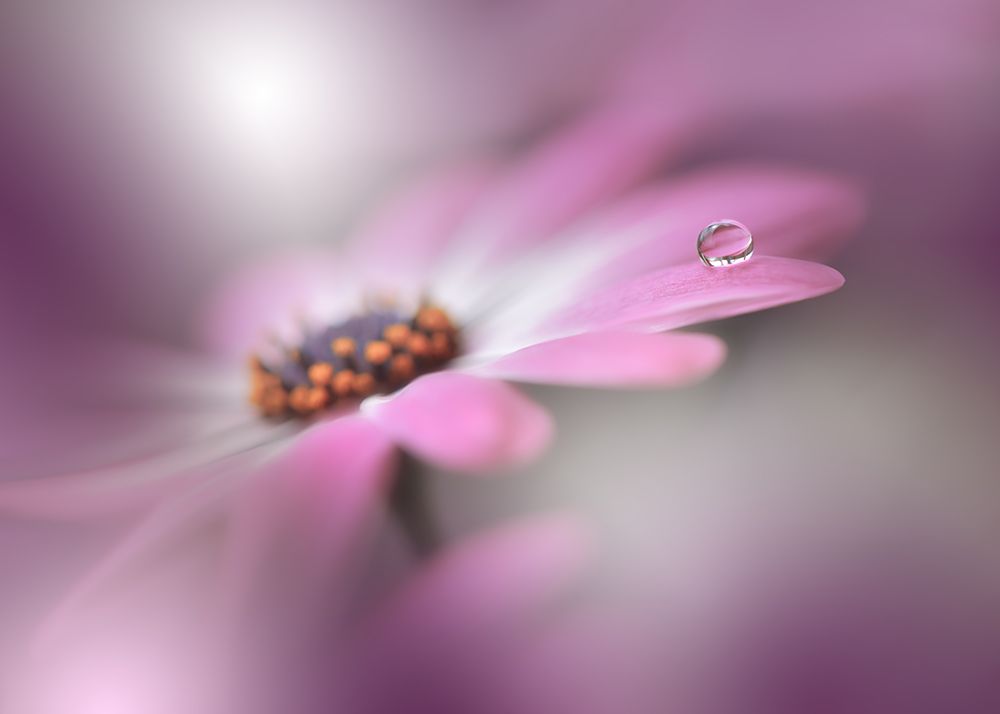 Echoes Of Hope...II art print by Juliana Nan for $57.95 CAD