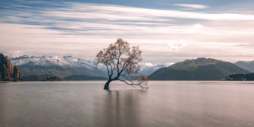 lonely tree art print by Han Xiaobei for $57.95 CAD