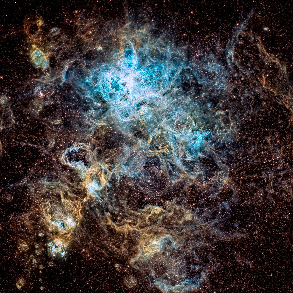 Tarantula Nebula art print by Vikas Chander for $57.95 CAD