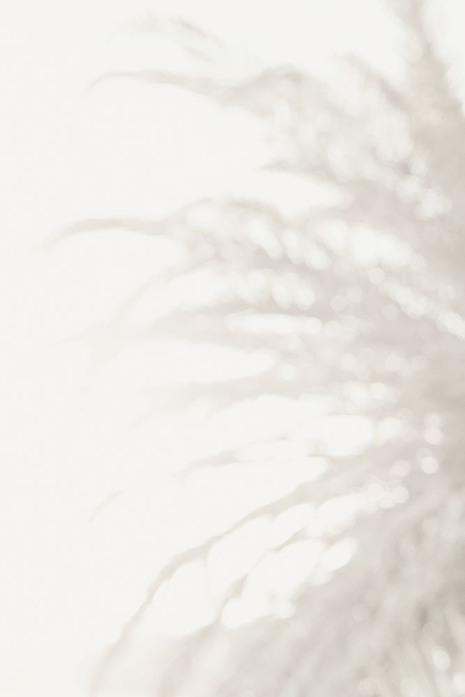 Palm_008 art print by 1x Studio III for $57.95 CAD