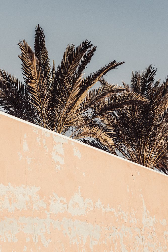 Palm art print by 1x Studio III for $57.95 CAD