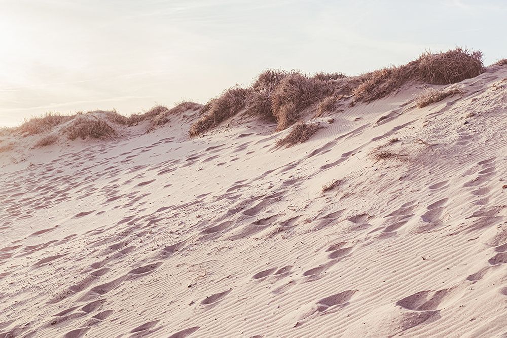 Beach_009 art print by 1x Studio III for $57.95 CAD