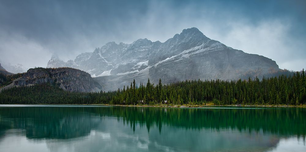 Lake O Hara art print by Ning Lin for $57.95 CAD
