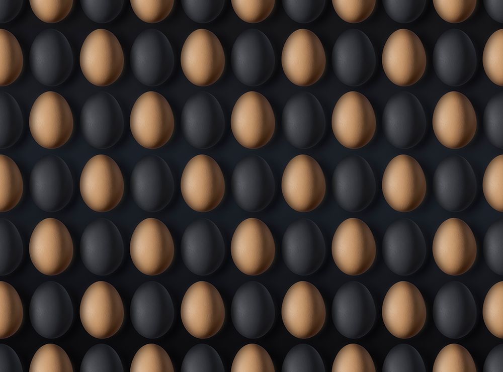 EGG art print by Yujie Zhang for $57.95 CAD