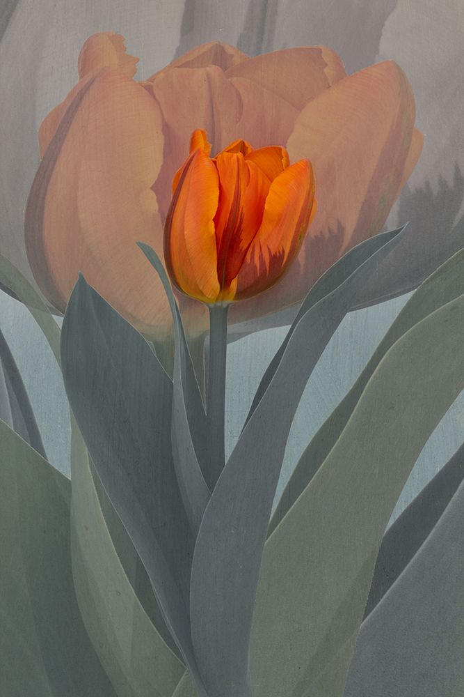 Candle art print by Richard Urbanski for $57.95 CAD