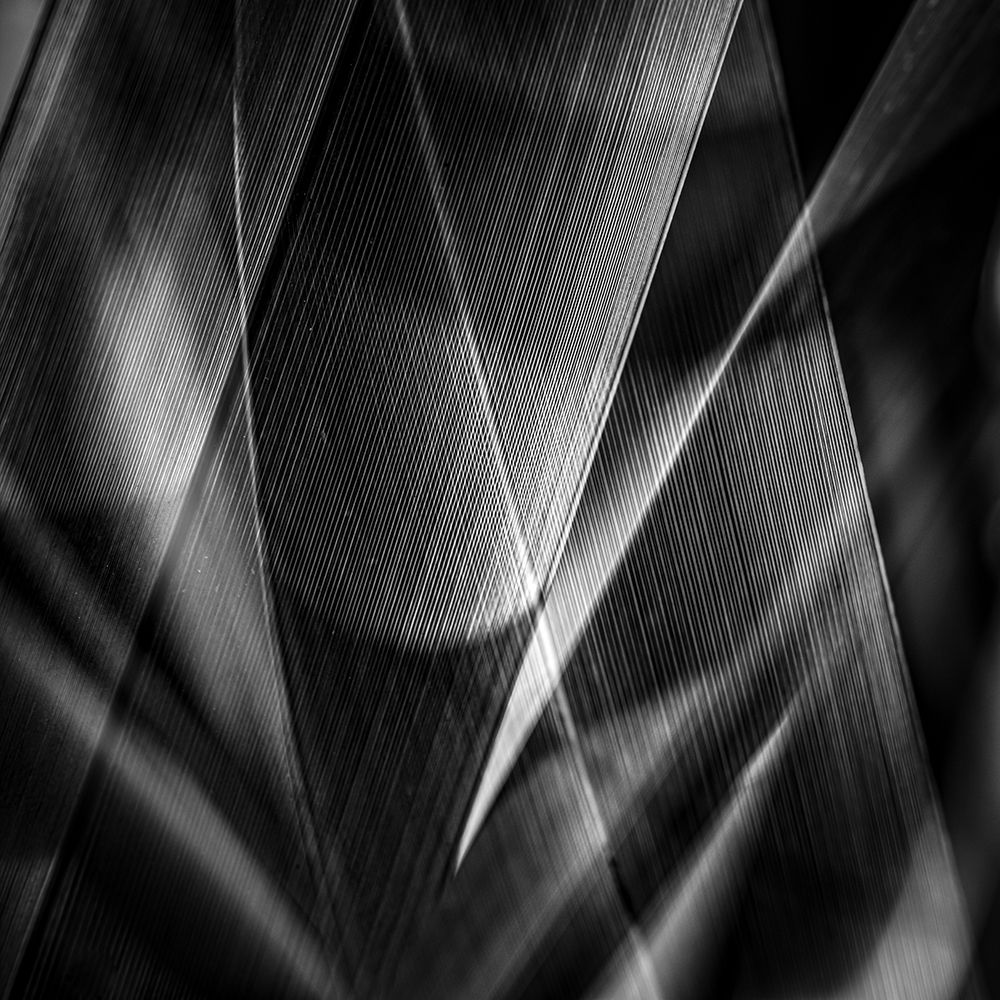Shadows a edges ab art print by Simon Ciappara Lrps. for $57.95 CAD