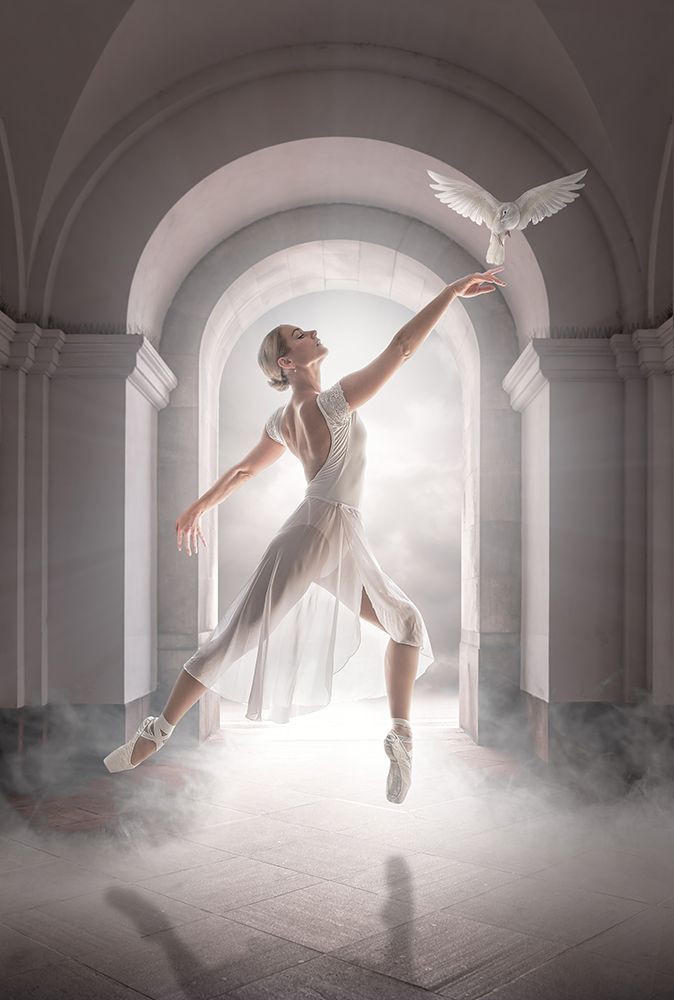 Birddance art print by Marcel Egger for $57.95 CAD