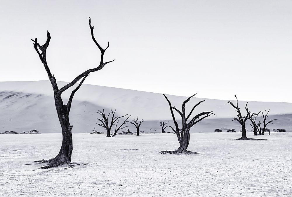 Deadvlei art print by Michael Zheng for $57.95 CAD