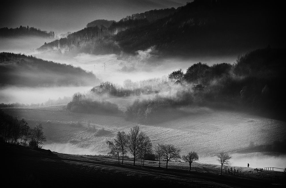 Morning Walk art print by Peter Svoboda Mqep for $57.95 CAD