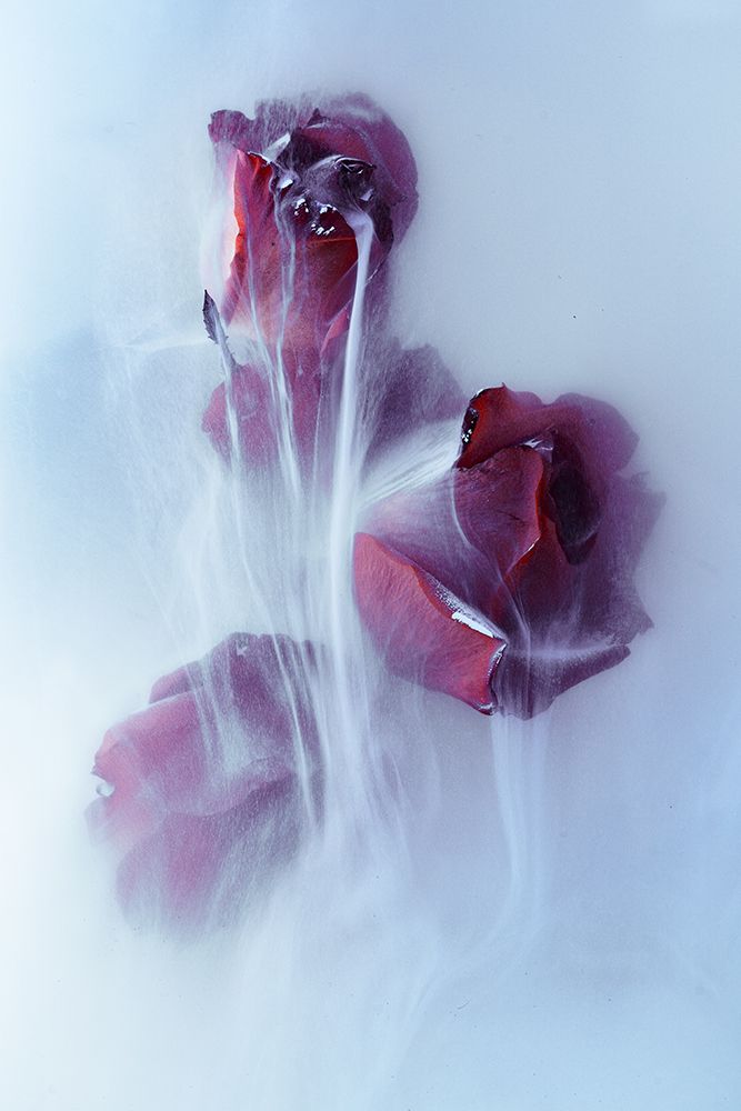 Timeless art print by Franz Luxemburger for $57.95 CAD