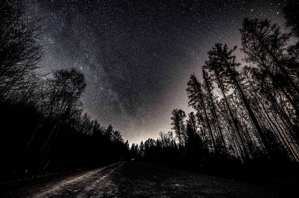Lights of th Night art print by Lukasz Winiarski for $57.95 CAD