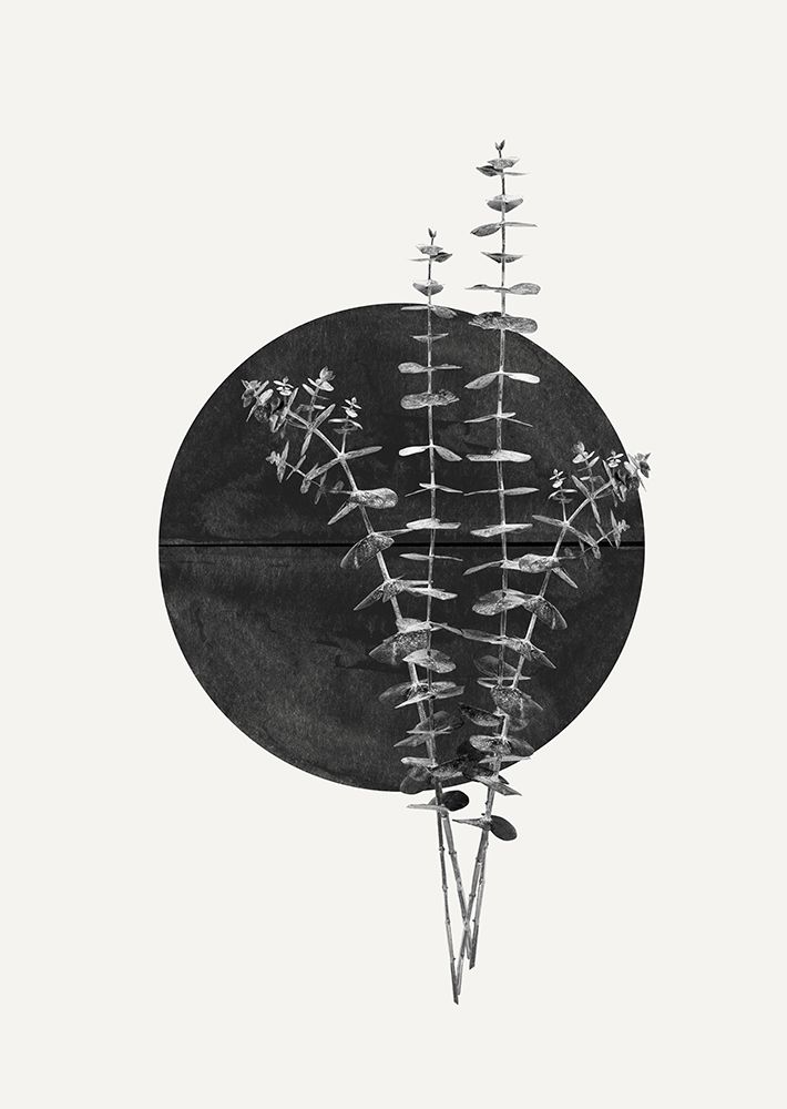 Plant and Black Sun art print by The Miuus Studio for $57.95 CAD