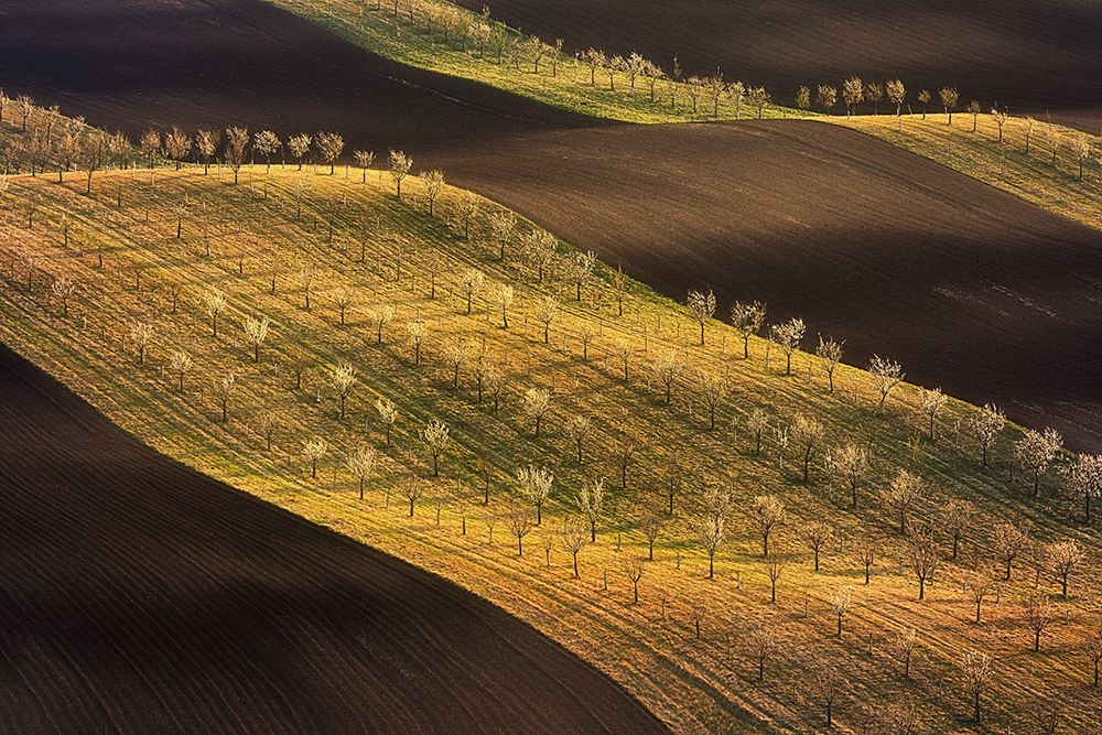 Moravian Tuscany Waves #2 art print by Martin Moravek for $57.95 CAD