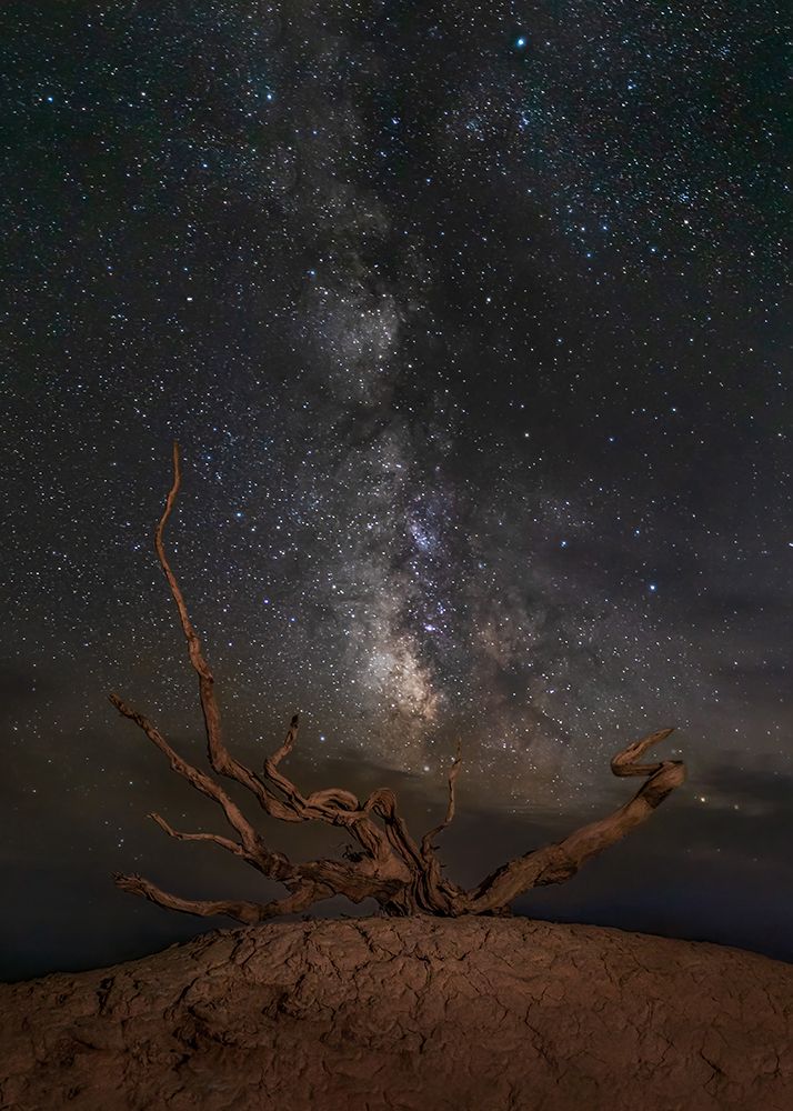 Gobi Desert Night art print by Irene Yu Wu for $57.95 CAD