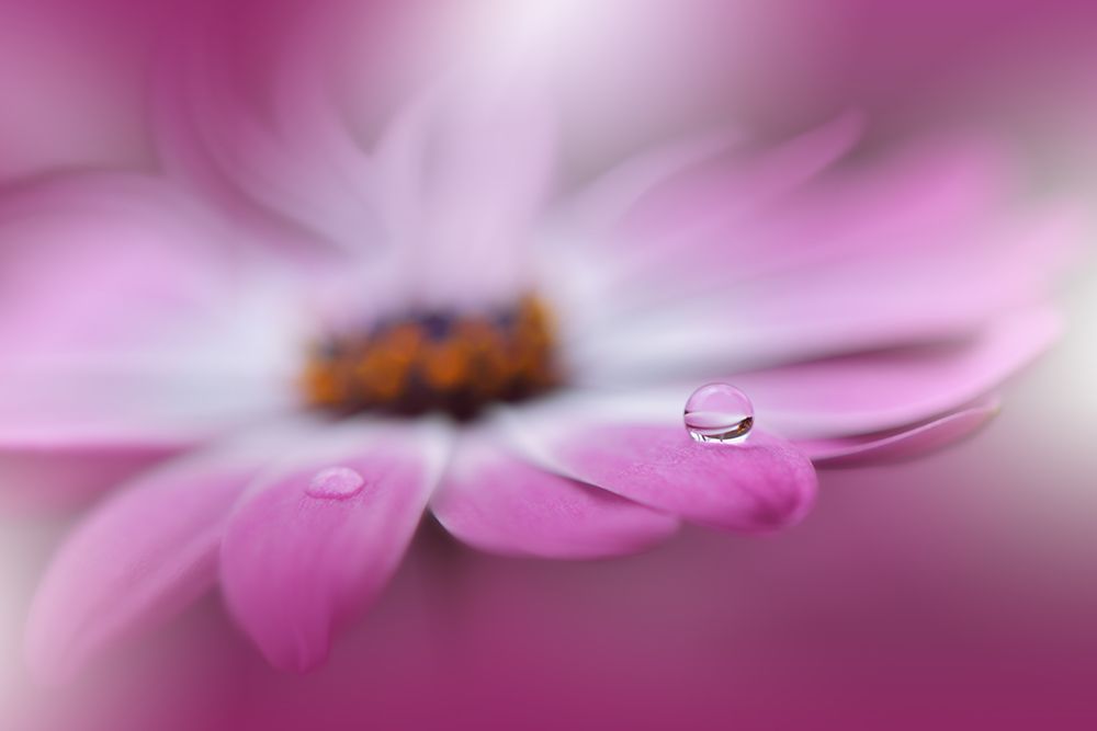Celebration Of Life.. art print by Juliana Nan for $57.95 CAD