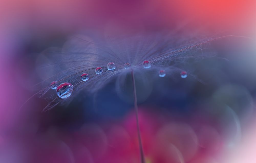 The Tears Of Heaven...III art print by Juliana Nan for $57.95 CAD