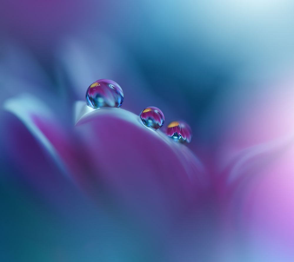 Memories Of Sea..III art print by Juliana Nan for $57.95 CAD
