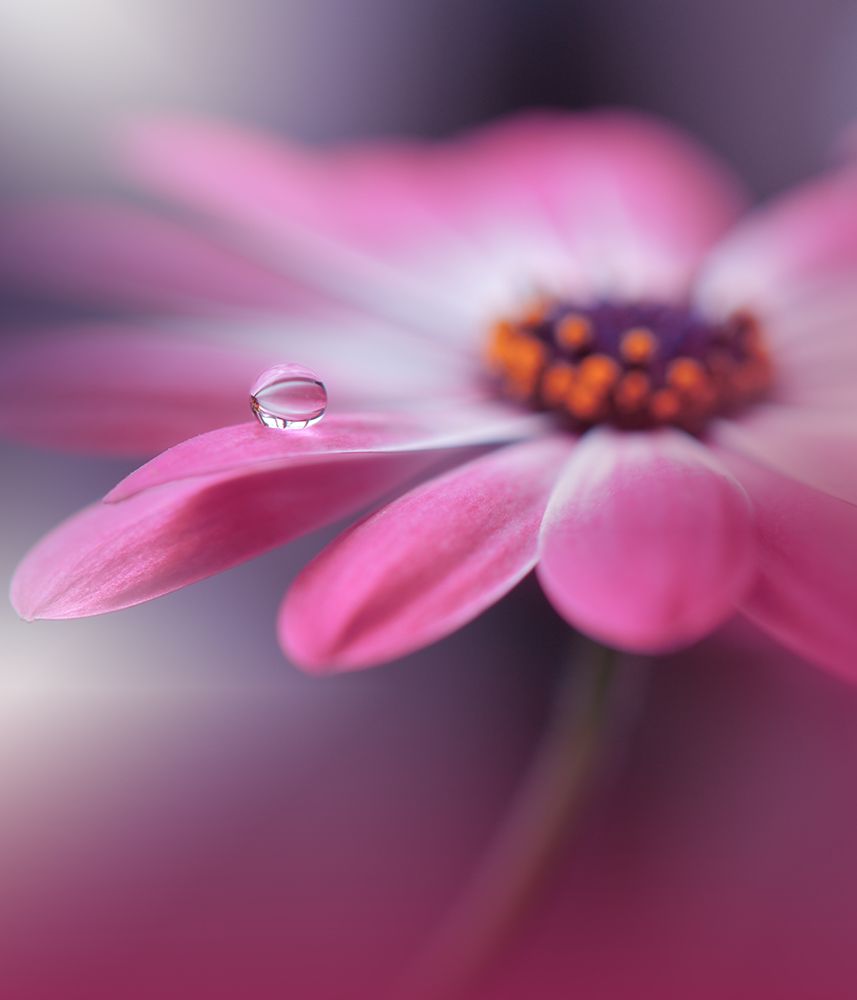 Echoes of Hope...III art print by Juliana Nan for $57.95 CAD