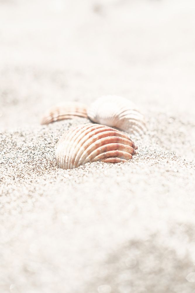Beach_013 art print by 1x Studio III for $57.95 CAD