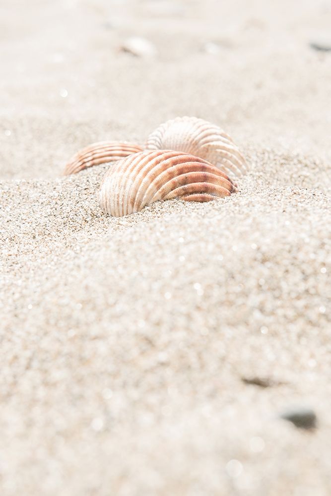 Beach_014 art print by 1x Studio III for $57.95 CAD