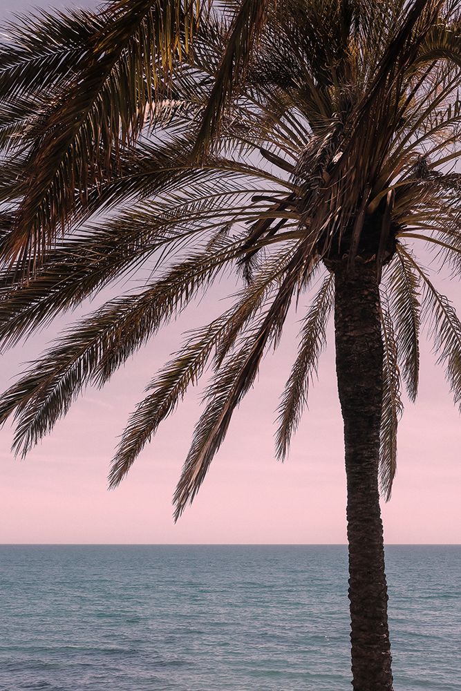 Palm_010 art print by 1x Studio III for $57.95 CAD