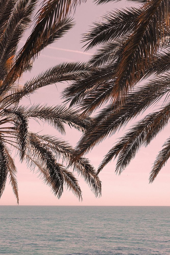 Palm_011 art print by 1x Studio III for $57.95 CAD
