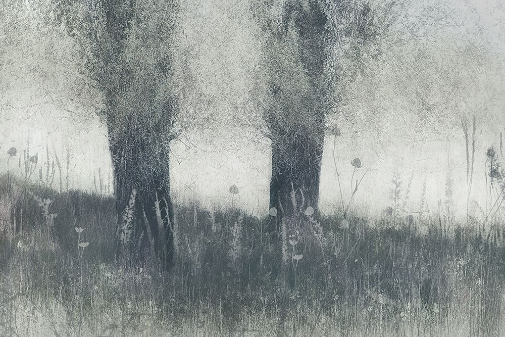 Memories art print by Nel Talen for $57.95 CAD