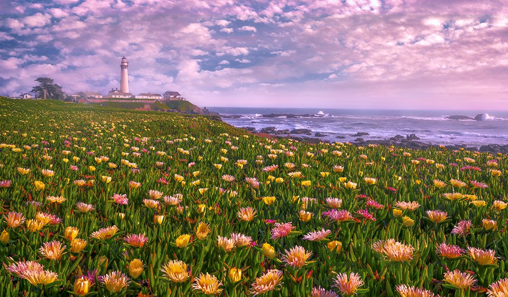 Lighthouse of Succulence art print by Sophia Li for $57.95 CAD