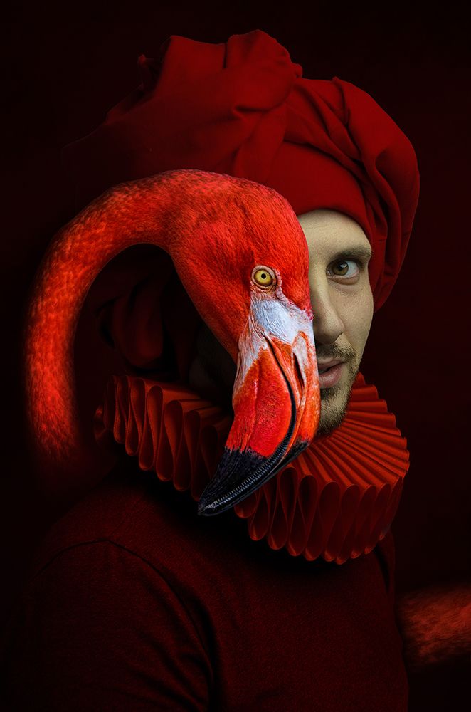 Red Flamingo art print by Paul Adrian Chis for $57.95 CAD