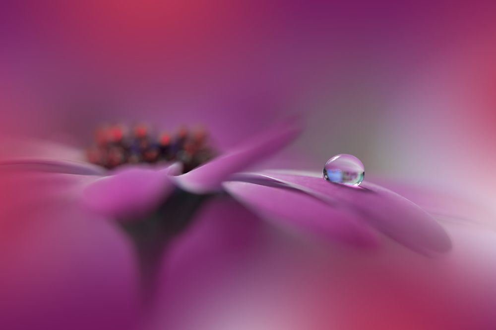Celebration Of Life.. art print by Juliana Nan for $57.95 CAD