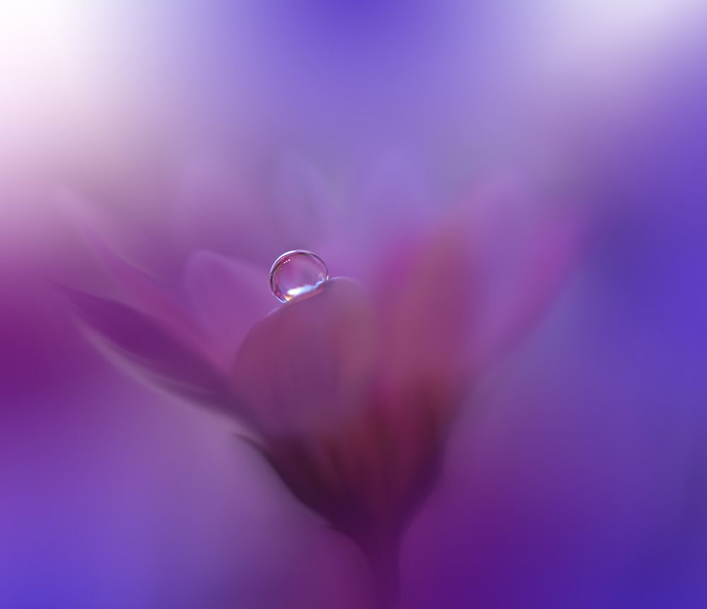 Colors Of Love...III art print by Juliana Nan for $57.95 CAD
