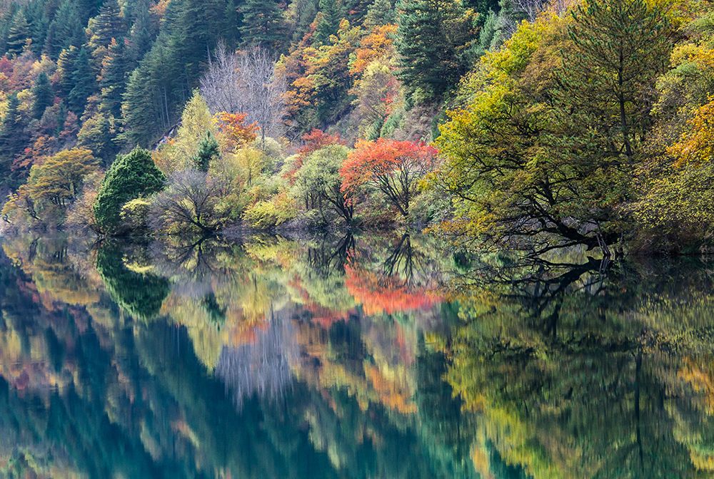 Double fall art print by Dorit Berkovits for $57.95 CAD