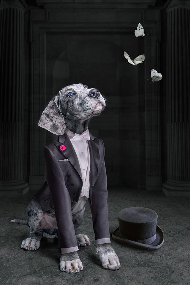 LordDog art print by Marcel Egger for $57.95 CAD