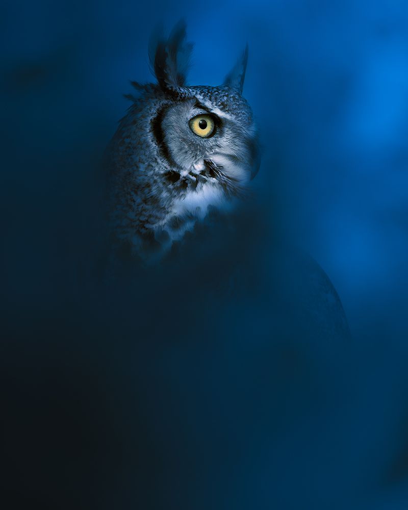Blue art print by Ahmed Sobhi for $57.95 CAD