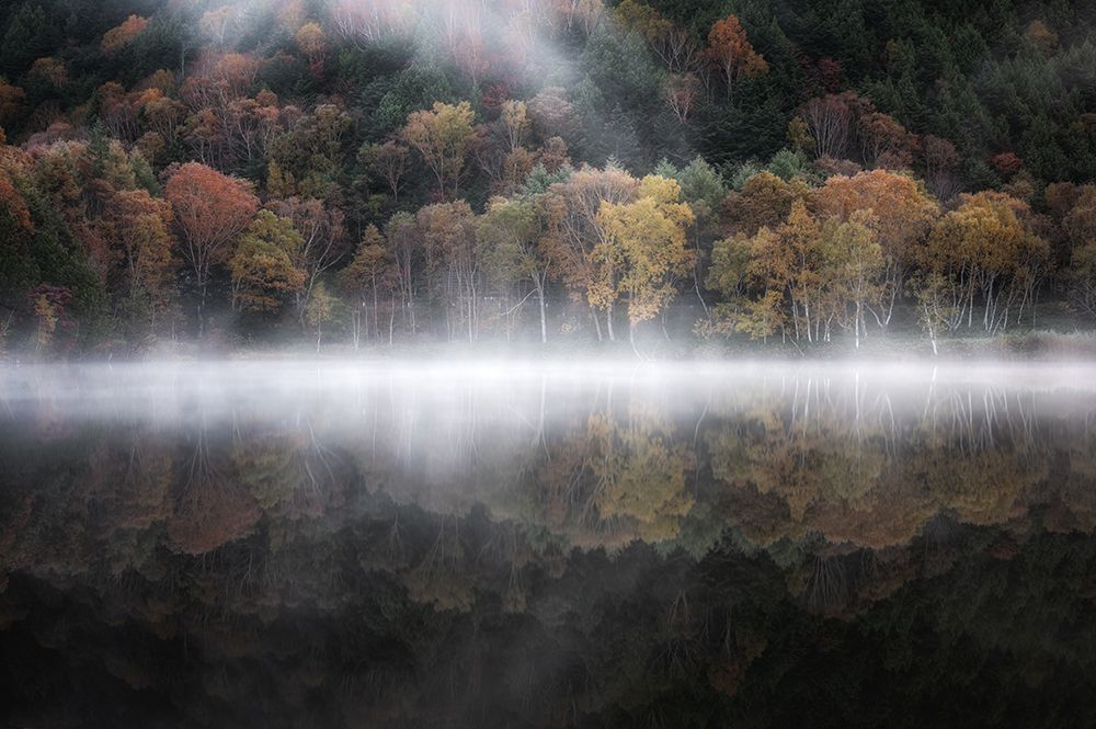 The Mystical Pond In The Autumn 3 art print by Daiki Suzuki for $57.95 CAD