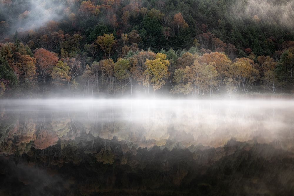 The mystical pond in the autumn art print by Daiki Suzuki for $57.95 CAD